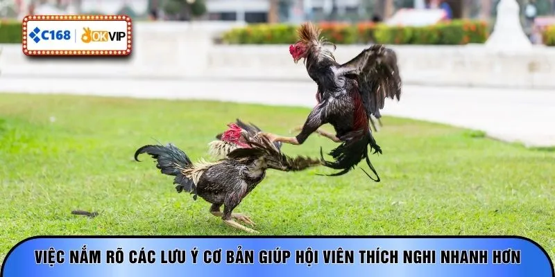 Việc nắm rõ các lưu ý cơ bản giúp hội viên thích nghi nhanh hơn